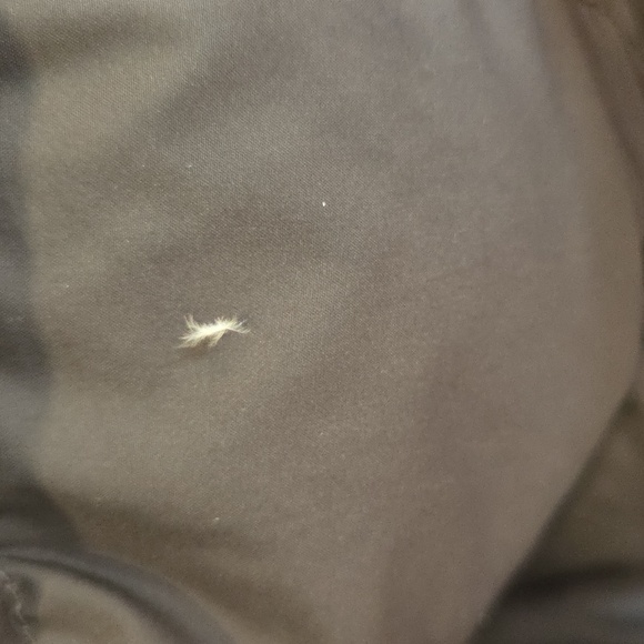 North Face Arctic Parka - Picture 10 of 11